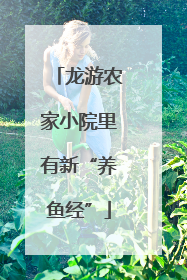 龙游农家小院里有新“养鱼经”