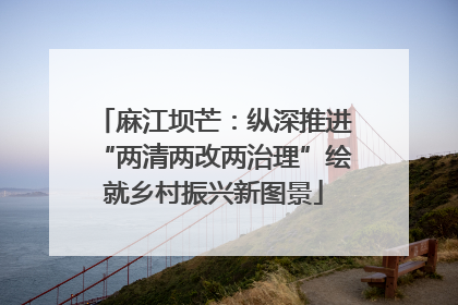 麻江坝芒：纵深推进“两清两改两治理”绘就乡村振兴新图景