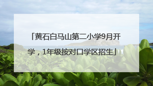 黄石白马山第二小学9月开学，1年级按对口学区招生