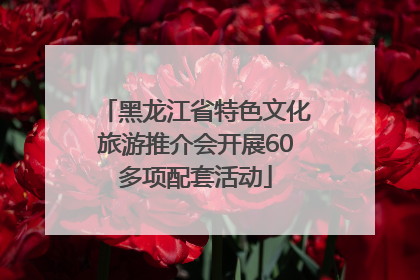 黑龙江省特色文化旅游推介会开展60多项配套活动