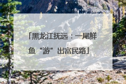黑龙江抚远：一尾鲜鱼“游”出富民路