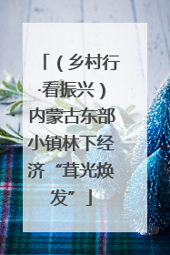 （乡村行·看振兴）内蒙古东部小镇林下经济“茸光焕发”