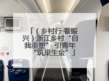 （乡村行·看振兴）浙江乡村“自我重塑” 引青年“筑巢生金”