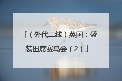 （外代二线）英国：盛装出席赛马会（2）