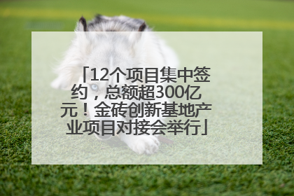 12个项目集中签约，总额超300亿元！金砖创新基地产业项目对接会举行