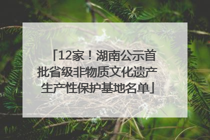 12家！湖南公示首批省级非物质文化遗产生产性保护基地名单