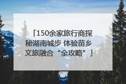 150余家旅行商探秘湖南城步 体验苗乡文旅融合“全攻略”