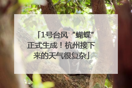 1号台风“蝴蝶”正式生成！杭州接下来的天气很复杂