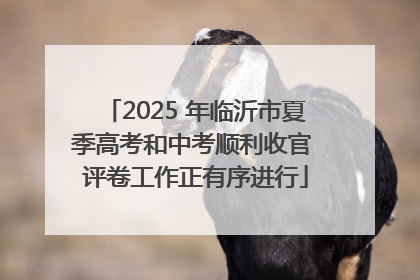 2025 年临沂市夏季高考和中考顺利收官 评卷工作正有序进行
