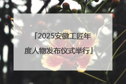 2025安徽工匠年度人物发布仪式举行