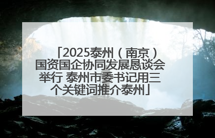 2025泰州（南京）国资国企协同发展恳谈会举行 泰州市委书记用三个关键词推介泰州