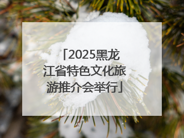2025黑龙江省特色文化旅游推介会举行