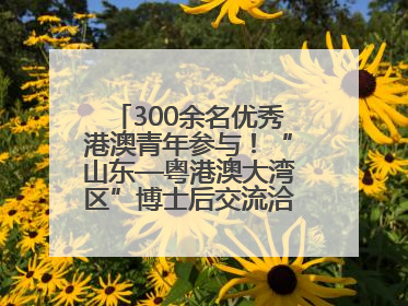 300余名优秀港澳青年参与！“山东—粤港澳大湾区”博士后交流洽谈活动成功举办
