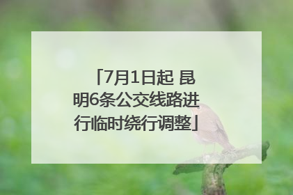 7月1日起 昆明6条公交线路进行临时绕行调整