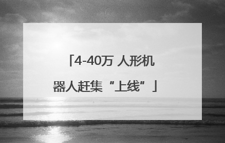 4-40万 人形机器人赶集“上线”