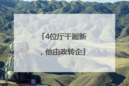4位厅干履新，他由政转企