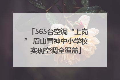 565台空调“上岗” 眉山青神中小学校实现空调全覆盖