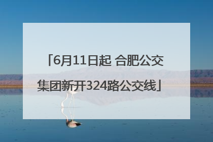 6月11日起 合肥公交集团新开324路公交线
