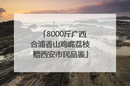 8000斤广西合浦香山鸡嘴荔枝赠西安市民品鉴