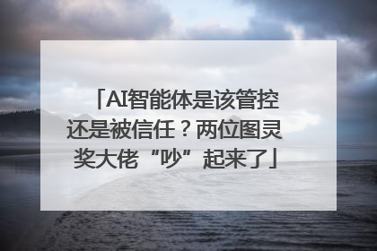 AI智能体是该管控还是被信任？两位图灵奖大佬“吵”起来了