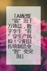 AI配煤“省”出千万效益，数字孪生“看”穿生产风险！宁阳县传统制造业“智”变突围