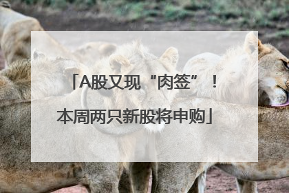 A股又现“肉签”！本周两只新股将申购