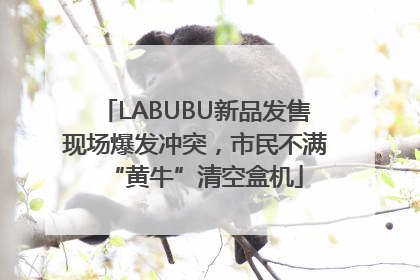 LABUBU新品发售现场爆发冲突，市民不满“黄牛”清空盒机