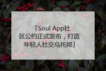 Soul App社区公约正式发布，打造年轻人社交乌托邦